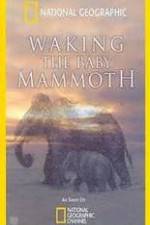 Watch Waking the Baby Mammoth Vodlocker