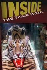 Watch Inside: The Tiger Trade Vodlocker
