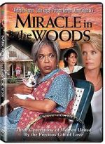Watch Miracle in the Woods Vodlocker