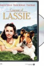 Watch Courage of Lassie Vodlocker