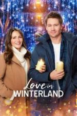 Watch Love in Winterland Vodlocker