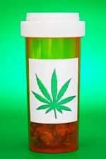 Watch Medicinal Cannabis and its Impact on Human Health Vodlocker