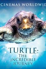 Watch Turtle The Incredible Journey Vodlocker