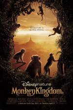 Watch Monkey Kingdom Vodlocker