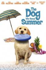 Watch The Dog Who Saved Summer Vodlocker