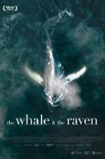 Watch The Whale and the Raven Vodlocker