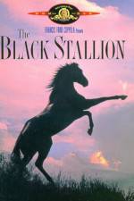 Watch The Black Stallion Vodlocker