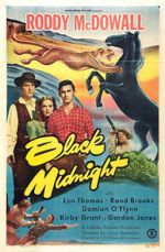 Watch Black Midnight Vodlocker