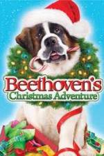 Watch Beethoven's Christmas Adventure Vodlocker