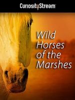 Watch Wild Horses of the Marshes Vodlocker