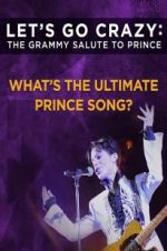 Watch Let\'s Go Crazy: The Grammy Salute to Prince Vodlocker