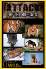 Watch National Geographic Attack Of The Big Cats Vodlocker