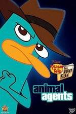 Watch Phineas And Ferb Animal Agents Vodlocker