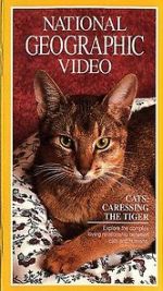 Watch Cats: Caressing the Tiger Vodlocker