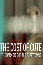 Watch The Cost of Cute: The Dark Side of the Puppy Trade Vodlocker