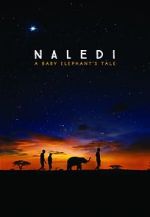 Watch Naledi: A Baby Elephant\'s Tale Vodlocker