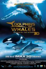 Watch Dolphins and Whales 3D Tribes of the Ocean Vodlocker