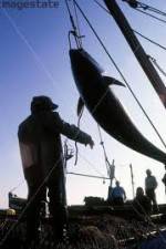 Watch National Geographic: Cheating Death Tuna Cowboys Vodlocker
