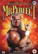 Watch The Life and Times of Mr. Perfect Vodlocker