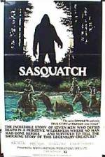 Watch Sasquatch the Legend of Bigfoot Vodlocker