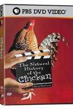 Watch The Natural History of the Chicken Vodlocker