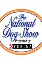 Watch National Dog Show Vodlocker