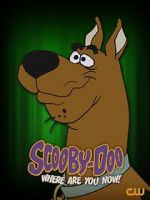 Watch Scooby-Doo, Where Are You Now! (TV Special 2021) Vodlocker