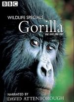 Watch Gorilla Revisited with David Attenborough Vodlocker