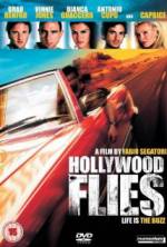 Watch Hollywood Flies Vodlocker