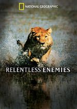 Watch Relentless Enemies Vodlocker