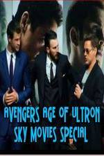 Watch Avengers Age of Ultron Sky Movies Special Vodlocker