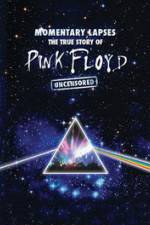 Watch Pink Floyd: Momentary Lapses - The True Story Of Pink Floyd Vodlocker