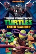 Watch Teenage Mutant Ninja Turtles: Enter Shredder Vodlocker