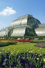 Watch Cruickshank on Kew: The Garden That Changed the World Vodlocker