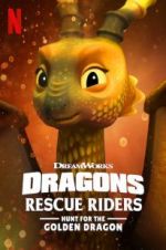 Watch Dragons: Rescue Riders: Hunt for the Golden Dragon Vodlocker