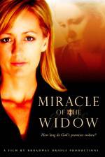 Watch Miracle of the Widow Vodlocker