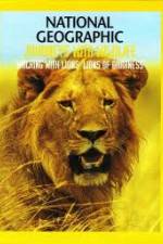 Watch National Geographic: Walking with Lions Vodlocker
