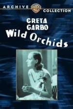 Watch Wild Orchids Vodlocker