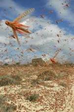Watch Swarm Chasers: Locusts Vodlocker