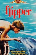 Watch Flipper Vodlocker