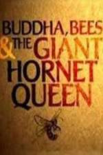 Watch Natural World Buddha Bees and the Giant Hornet Queen Vodlocker