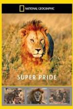 Watch National Geographic: Super Pride  Africa's Largest Lion Pride Vodlocker
