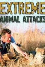 Watch Extreme Animal Attacks Vodlocker