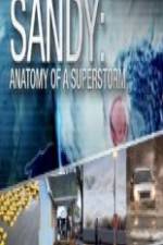 Watch Sandy Anatomy Of A Superstorm Vodlocker