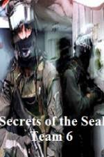 Watch Discovery Channel Secrets of Seal Team 6 Vodlocker