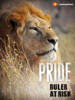 Watch Pride - Ruler\'s at Risk Vodlocker