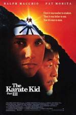 Watch The Karate Kid, Part III Vodlocker