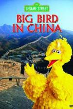Watch Big Bird in China Vodlocker