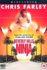 Watch Beverly Hills Ninja Vodlocker