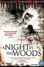 Watch A Night in the Woods Vodlocker